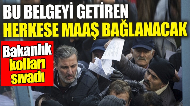Bu Belgeyi Getiren Herkese Maaş Bağlanacak: Bakanlık Yeni Destek Programı Başlattı
