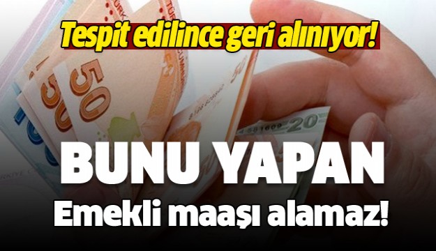 Bunu yapan emekli maaşı alamaz