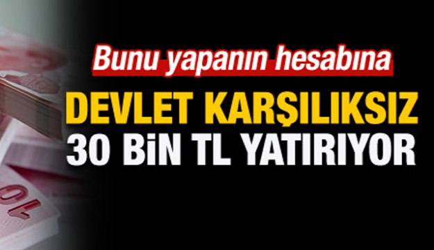 Bunu yapanın hesabına devlet 30 bin TL yatırıyor