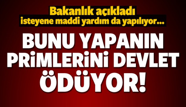 Bunu yapanın primlerini devlet ödeyecek