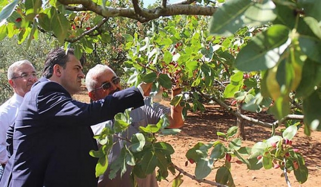 BURDUR’DA 25 YILLIK ÇALIŞMA İLK MEYVELERİNİ VERDİ