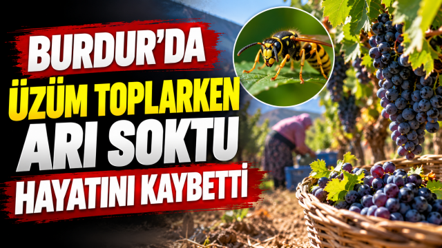Burdur&rsquo;da &uuml;z&uuml;m toplarken arı sokması sonucu hayatını kaybetti
