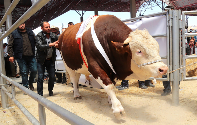 ​Burdur Fuarı üreticilere ‘umut’ olacak