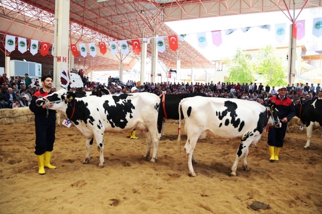 Burdur Fuarı'nda öncelik sağlık