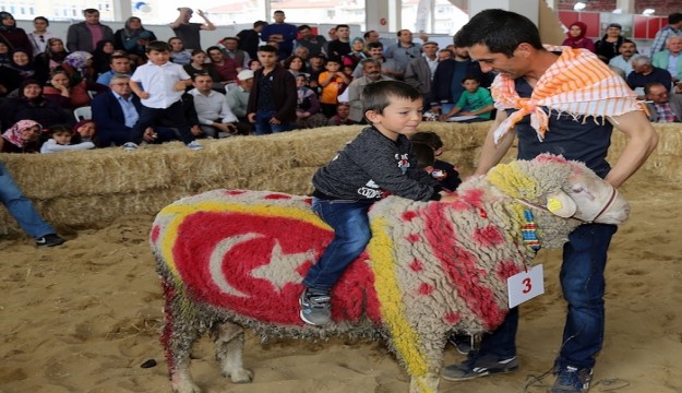 Burdur Haber: Güzelliğiyle rakiplerini geride bıraktı 