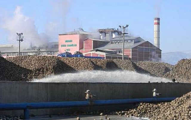 Burdur şeker fabrikasında kampanya