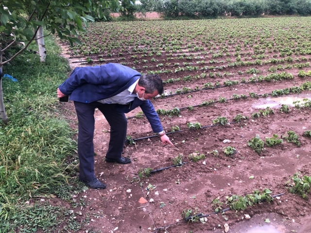 Burdur'da dolu yağışı tarım alanlarına zarar verdi