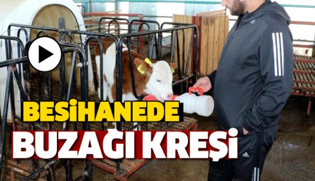 Burdur'da Besihanede 'Buzağı Kreşi' Kuruldu