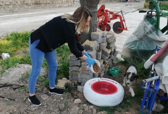 Burdur'da eski otomobil lastikleri sokak hayvanları için mama kabı oldu