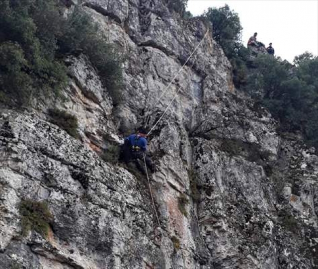 Burdur'da kayalıklarda mahsur kalan keçiler kurtarıldı