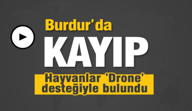 Burdur'da kayıp hayvanlar "drone" desteğiyle bulundu