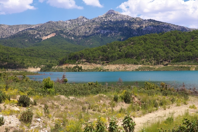 Burdur'da sulama göletine 10 bin pullu sazan bırakıldı