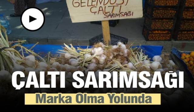 Çaltı Sarımsağı Marka Olma Yolunda