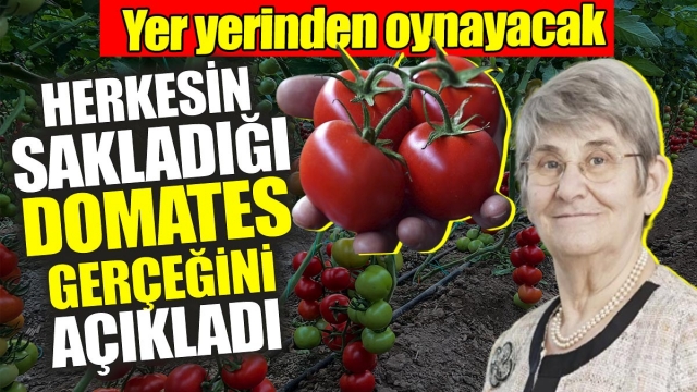 Canan Karatay: Domatesin Şeker İçeriği ve Tüketimi Üzerine Açıklamalar