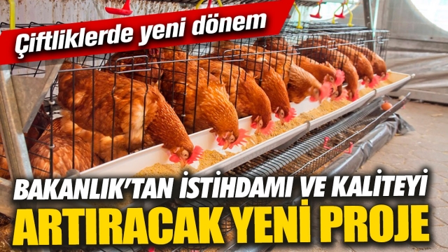 Çiftliklerde Yeni Dönem