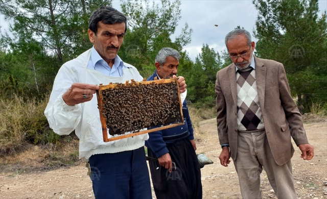 Çukurovalı arıcılar göçe hazırlanıyor