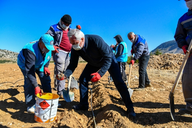 ​Davraz Turizm Merkezi’nde Zambak Ekimi Yapıldı