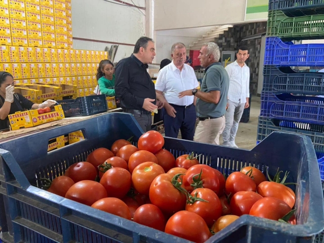 Deregümü Köyü: Köy Nüfusu Kadar Kişiye İstihdam Fırsatı Sağlıyor