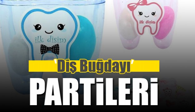 DİŞ BUĞDAYI PARTİLERİ