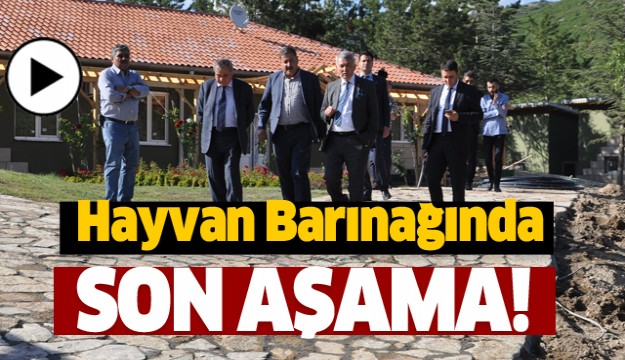 DOĞANIN İÇERİSİNDE HUZUR BULUNACAK