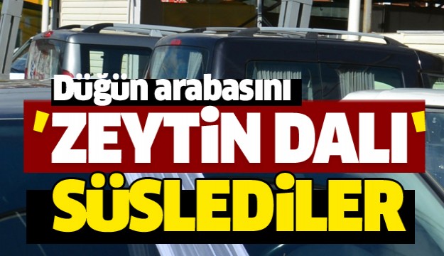 Düğün arabasını çiçek yerine zeytin dalı ile süslediler