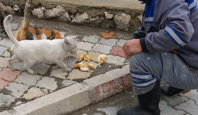 EĞİRDİR BELEDİYESİ KISITLAMALARDA
SOKAK HAYVANLARINI BESLİYOR