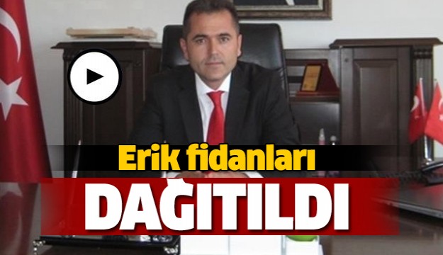 Eğirdir’de erik fidanı dağıtıldı  