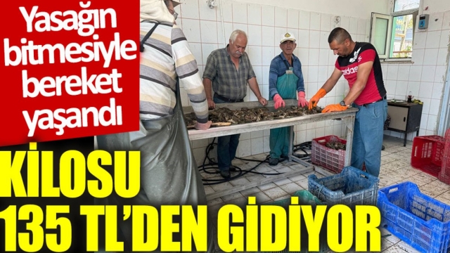 Eğirdir Gölü'nde Kerevit Sezonu Başladı: Kilosu 135 TL!