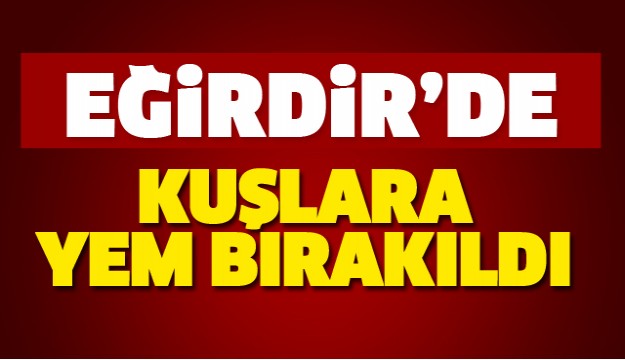 Eğirdir Gölü'nde Kuşlara Yem Bırakıldı