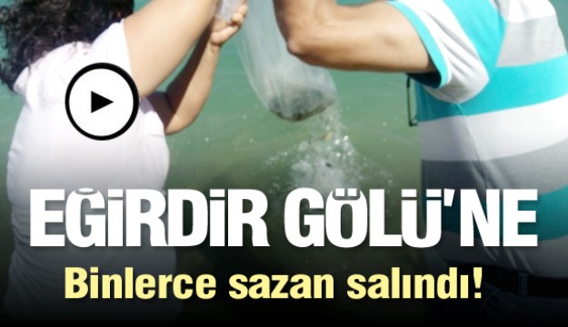 Eğirdir Gölü'ne 150 bin yavru sazan balığı salındı  