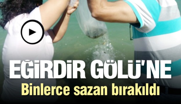 Eğirdir Gölü'ne 300 bin yavru Sazan bırakıldı   