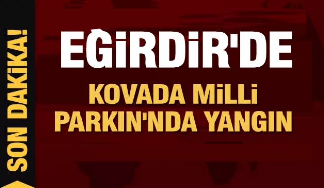 EĞİRDİR'DE KOVADA MİLLİ PARKINDA YANGIN 