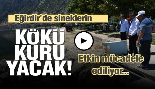 Eğirdir'de sineklerin kökü kuruyacak!