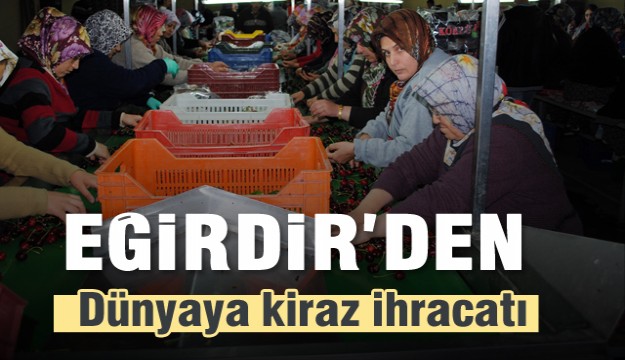 Eğirdir'den dünyaya kiraz ihracaatı 