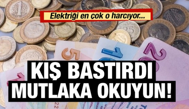 Elektriği en çok o harcıyor! Kuruş kuruş tasarruf rehberi