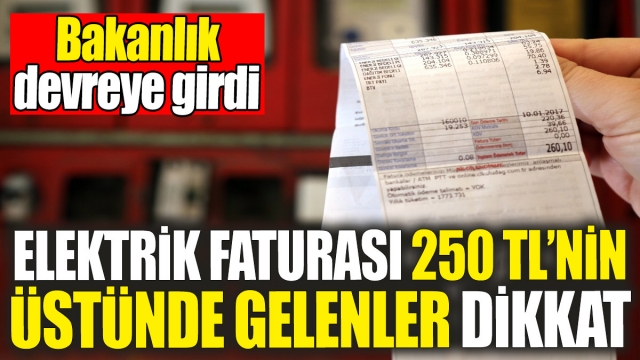 Elektrik Faturası 250 TL'nin Üstünde Gelenler İçin Bakanlık Devrede!