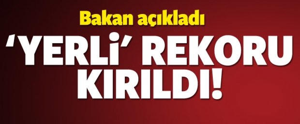 Elektrikte yerli rekoru