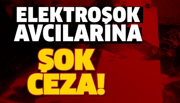 ELEKTROŞOK AVCILARINA ŞOK CEZA!