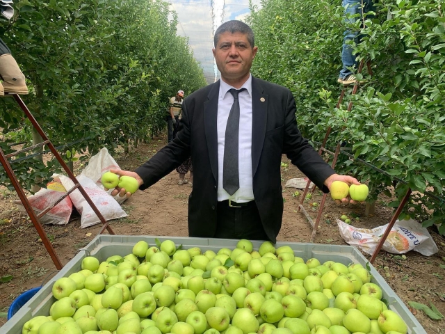 Elma Yevmiye Taban Fiyatı 400 TL Olarak Belirlendi