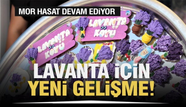 En Güzel Kokulu Mor Hasat Devam Ediyor! Isparta lavantası için yeni gelişme