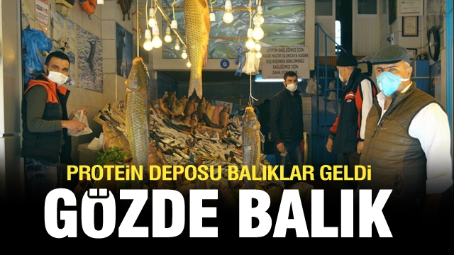En taze protein deposu balıklar Gözde Balık tezgahlarında yerini aldı