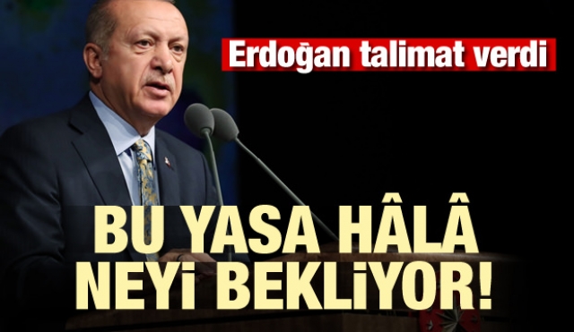 Erdoğan talimat verdi! Bu yasa hâlâ neyi bekliyor