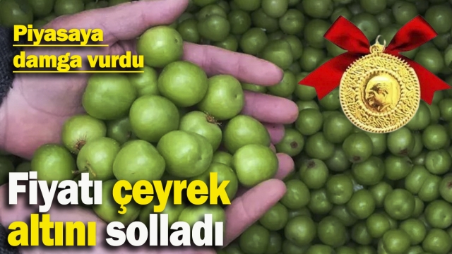 Erik ve Kiraz Çeyrek Altınla Yarışıyor