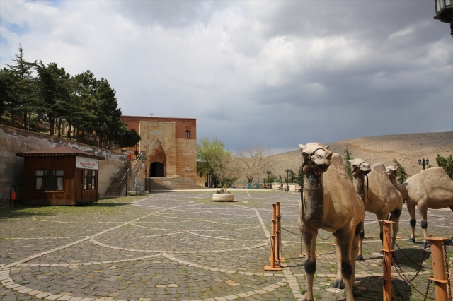Eshab-ı Kehf Külliyesi "Kovid-19 uykusunda"