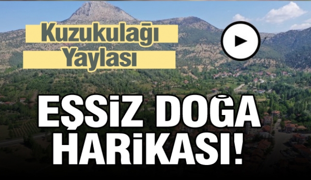 Eşsiz Doğa Manzarasıyla Kuzukulağı Yaylası