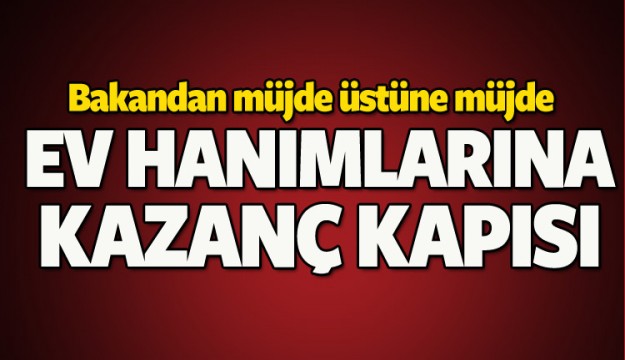 Ev hanımlarına devlet desteği