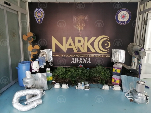 Evin odasını seraya çevirip Hint keneviri yetiştirmiş