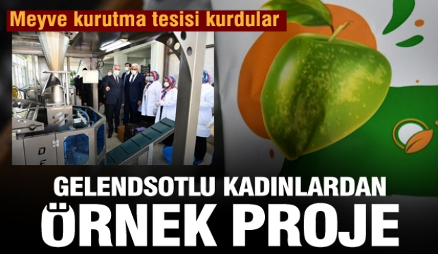 Gelendost’lu Kadınlardan Örnek Proje