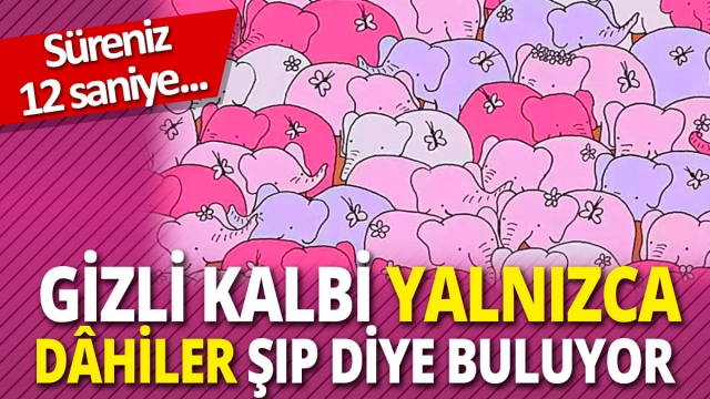 Gizli Kalbi Yalnızca Dâhiler Şıp Diye Buluyor! Süreniz 12 Saniye…