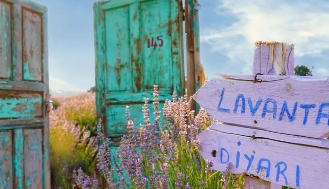 GO ISPARTA LAVANDER GARDEN